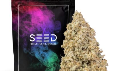 MAC & Cheese Flower | 3.5g | SEED
