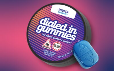 Blueberry Gummies | 20ct | Dialed In
