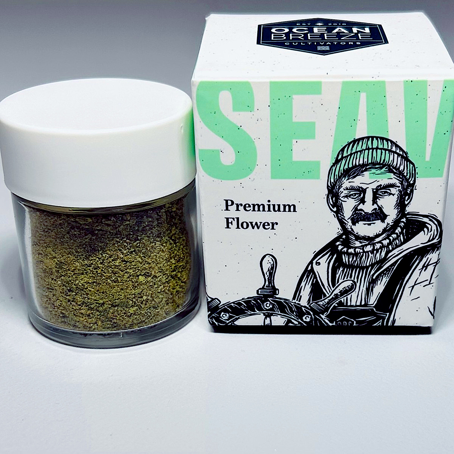 PS5 Sea Shake | 7g | Ocean Breeze | Seed, Boston MA