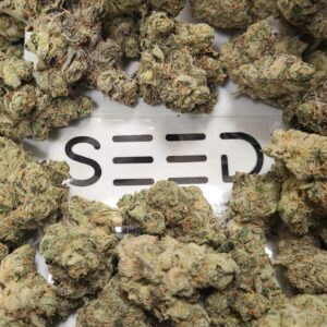 Papaya Slapper Smalls | 14g | SEED