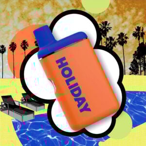 Leisure H-Bar Vape | 1g | Holiday