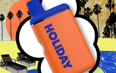 Leisure H-Bar Vape | 1g | Holiday