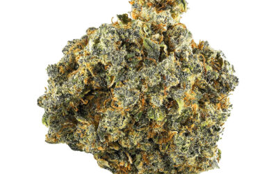 Ghost Train Haze Flower | 3.5g | Smyth Cannabis