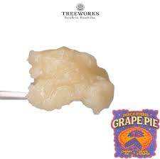 Grape Pie Live Rosin | 1g | Treeworks