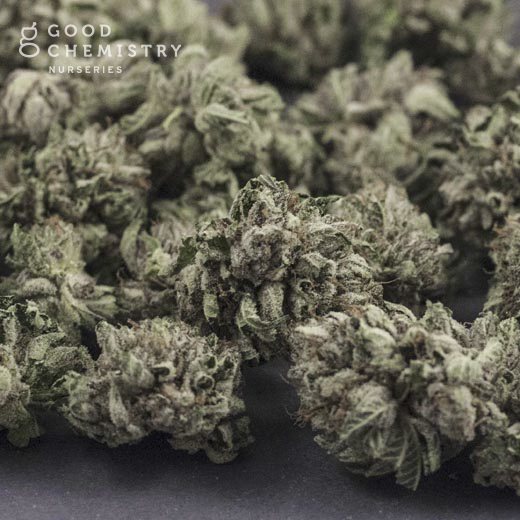Cashmere Flower | 3.5g | Good Chemistry
