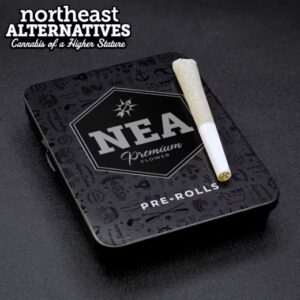 Kine Garlic Cookies Preroll 5pk | 2.5g | NEA