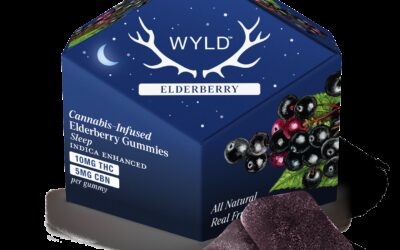 2:1 Elderberry Gummies | 10ct | Wyld