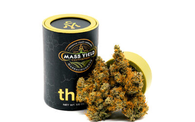 Peach Milano Flower | 3.5g | Mass Yield