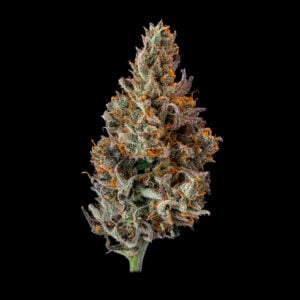 Blue Dream Blowfish Flower | 3.5g | Local Roots