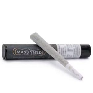 Blueberry Cupcake Pre-Roll | 1g | Mass Yield