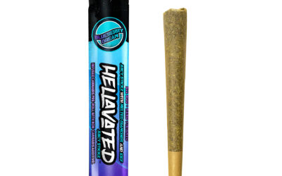 Blueberry Dream Infused Preroll | .75g | Hellavated