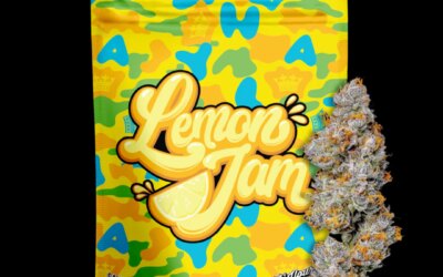 Lemon Jam Smalls | 14g | Your Highness