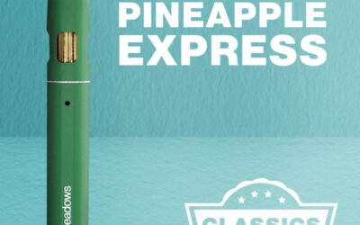 Pineapple Express Pen | 1g | The Tank