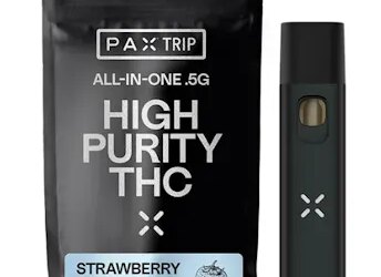 Strawberry Jam Vape Pen | 1g | PAX