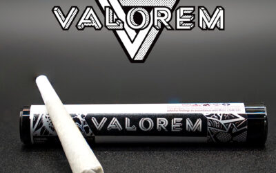 D9:CBD Sour Tsunami Pre-Roll | 1g | Valorem