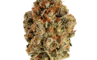Soap Flower | 3.5g | Smyth Cannabis