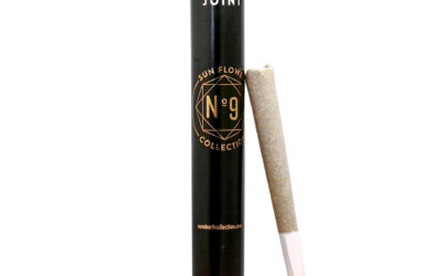 Jelly Donutz Pre-Roll | 1g | No 9 Collection