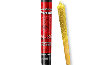 M-80 Raspberry Skywalker OG Infused Preroll | 1g | Pioneer Valley