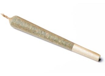 Cake Bomb Pre-Roll | 1g | Bountiful Farms
