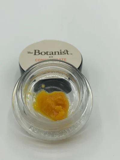 Durban Margy Budder | 1g | Botanist
