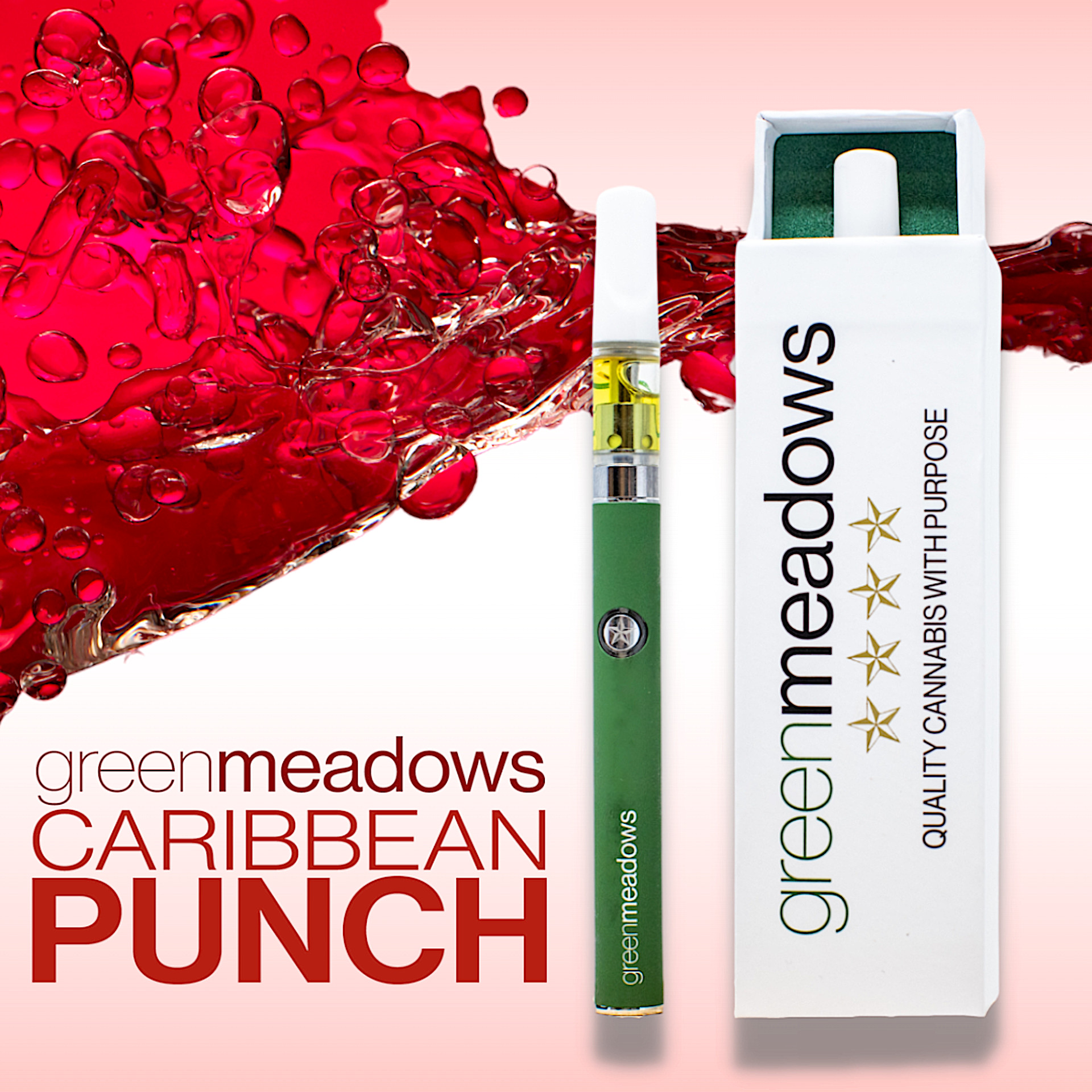 Caribbean Punch Cartridge | .5g | Green Meadows