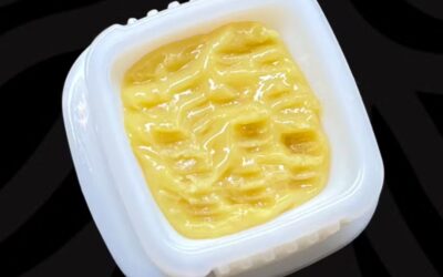 Pura Vida Live Hash Rosin | 1g | Local Roots