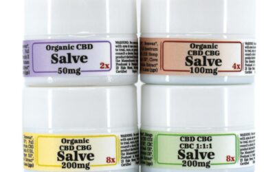 Mini Salve Flight Pack | The Healing Rose