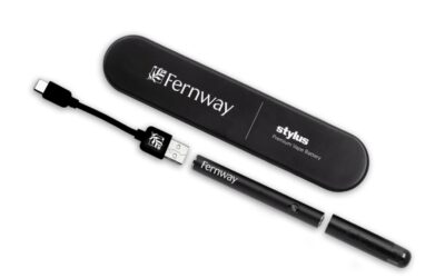 Fernway Stylus 510 Battery