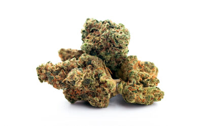 Piña Grande Flower | 3.5g | Bountiful Farms