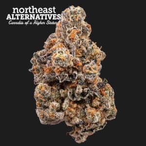 Violet Vixen Flower | 3.5g | NEA Premium