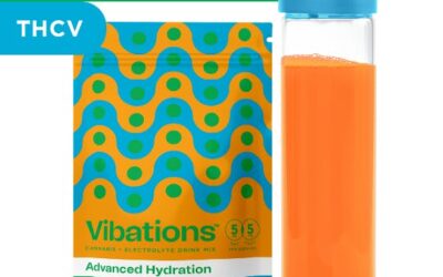 Tropical Punch Drink Mix | 10ct | Vibations