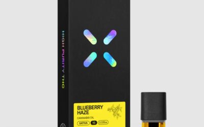 Blueberry Haze Pod | 1g | PAX