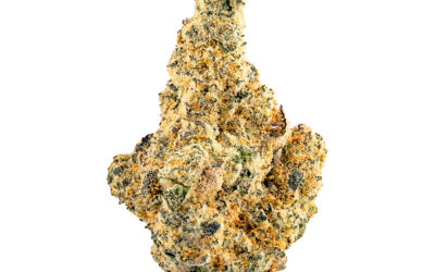 Miracle Mints Flower | 3.5g | Smyth Cannabis