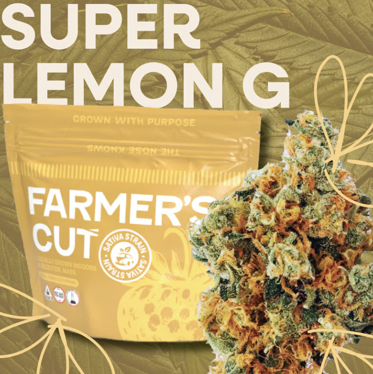 Super Lemon G Popcorn | 28g | Farmer's Cut