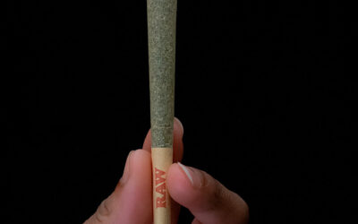 Peyote Cookies Pre-Roll | 1g | Local Roots