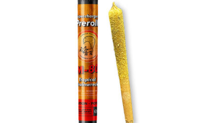M-80 Tropical Trainwreck Infused Preroll | 1g | Pioneer Valley