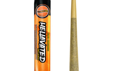 Clementine Infused Preroll | .75g | Hellavated