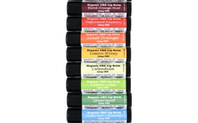 Organic Coconut CBD Lip Balm | 25g | The Healing Rose