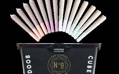 Doob Cube Preroll 14pk | 14g | No.9 Collection