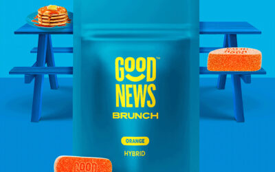 Brunch Sour Orange Gummies | 20pk | Good News
