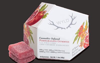 1:1 Pomegranate Gummies | 10ct | Wyld