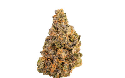 The Glove Flower | 3.5g | Smyth Cannabis
