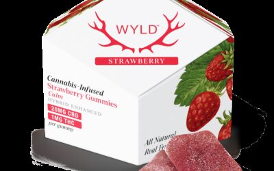 20:1 Strawberry Gummies | 10ct | Wyld