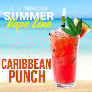 Caribbean Punch Pen | 1g | The Tank