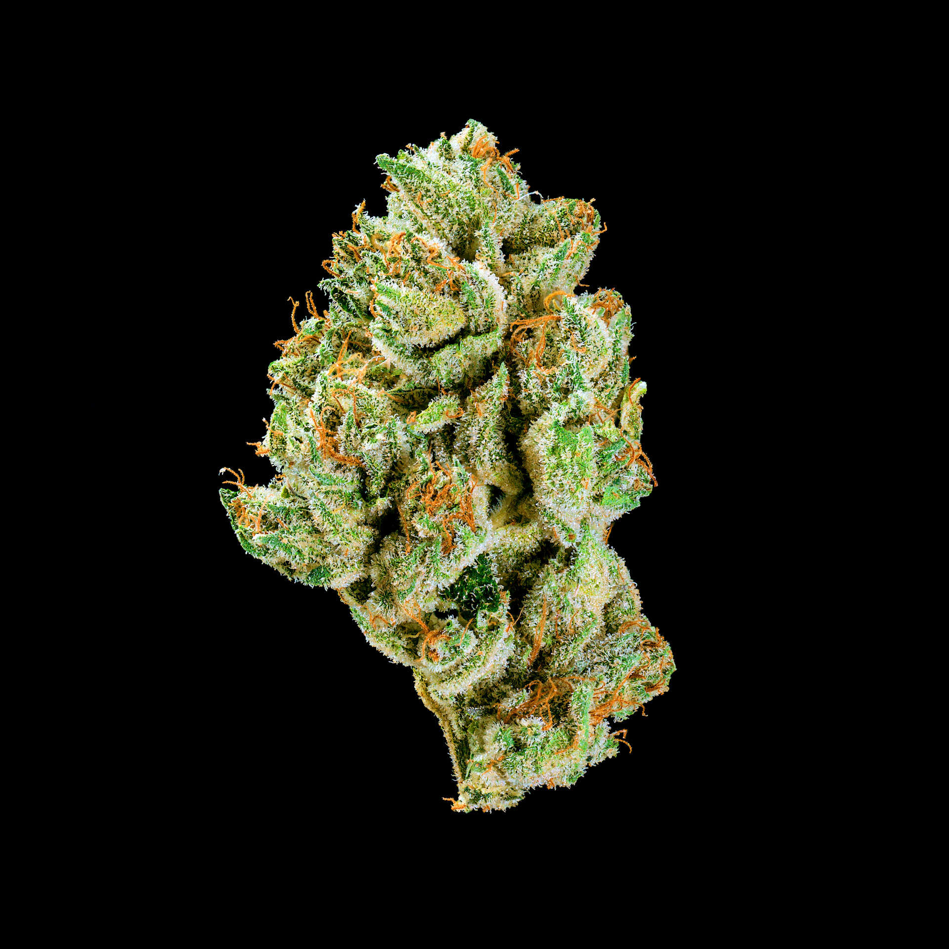 Sour Power OG Flower | 3.5g | SEED