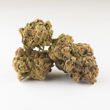 Lilac GMO Flower | 3.5g | Good Chemistry