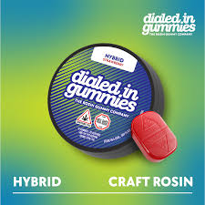 Strawberry Gummies | 20ct | Dialed In