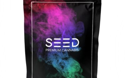 Purple Venom Preground Flower | 14g | Seed