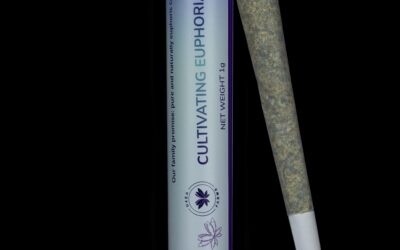 Pie Dough Preroll | 1g | U4EA Farms