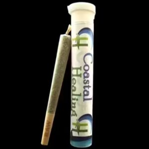 Z-Face Preroll | 1g | Coastal Healing